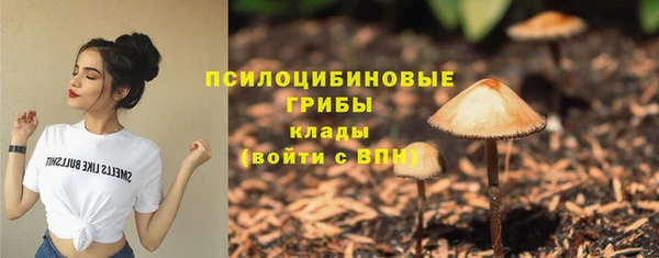гидропоника Алексин